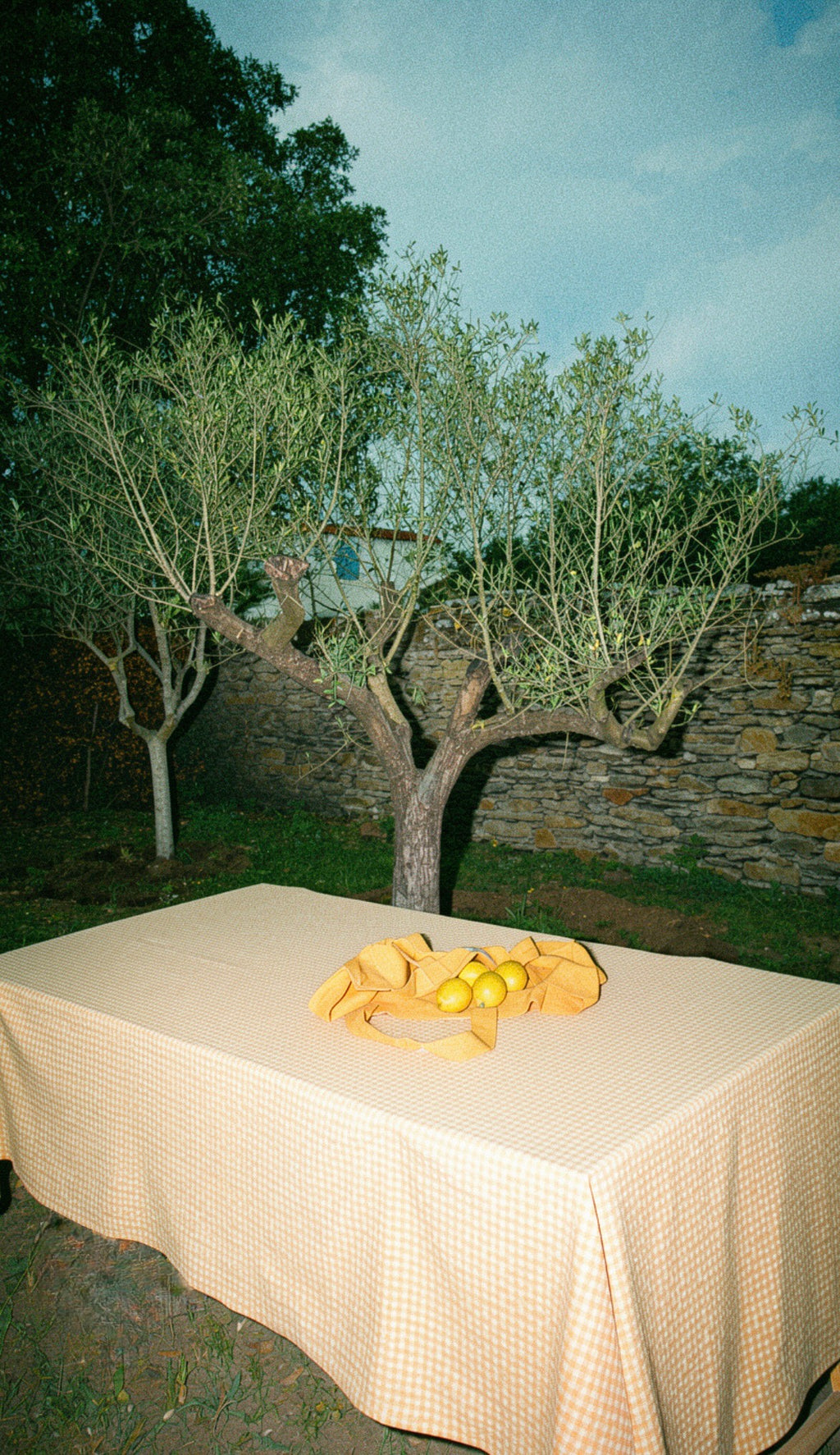 Nappe Vichy Jaune & Abricot LINJE
