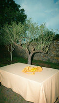 Nappe Vichy Jaune & Abricot LINJE