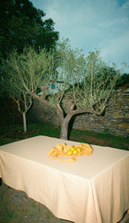 Nappe Vichy Jaune & Abricot LINJE