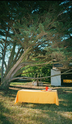 Nappe Lin & Coton - Jaune LINJE
