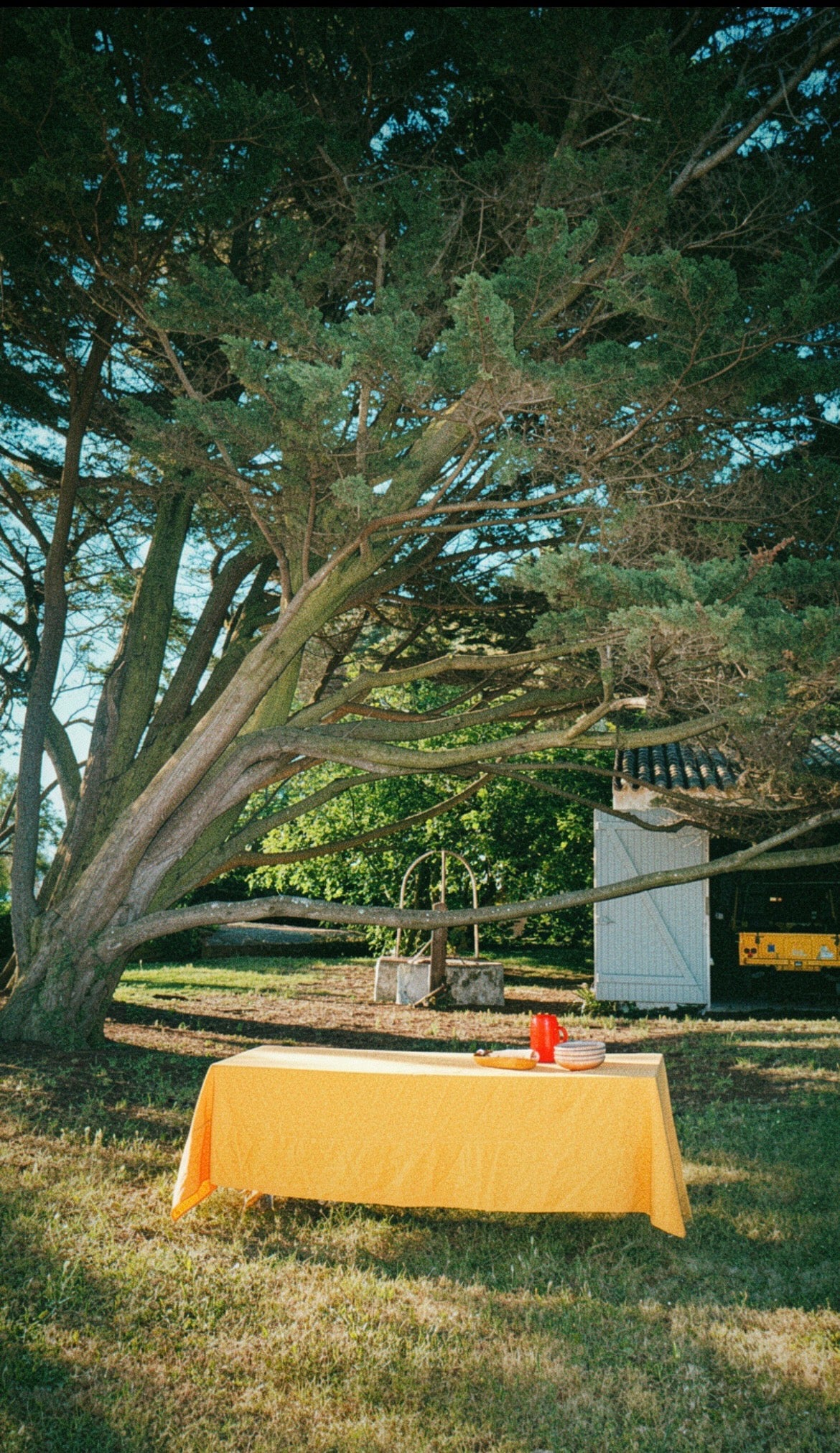 Nappe Lin & Coton - Jaune LINJE